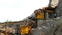 Mineral Ore Plant